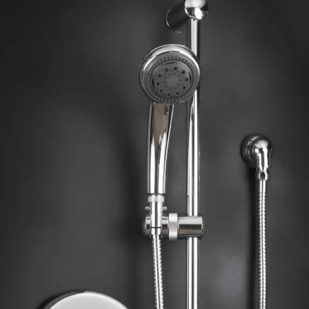 Dolphin 2 Hand Held Shower Head