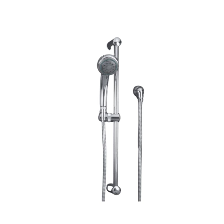 Dolphin 2 Hand Held Shower Head