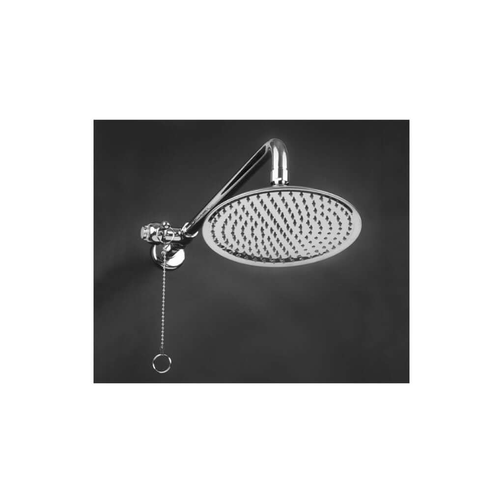 Swimming Pool and Patio Drench Rain Shower Head Shower Faucet-Self Closing Valve