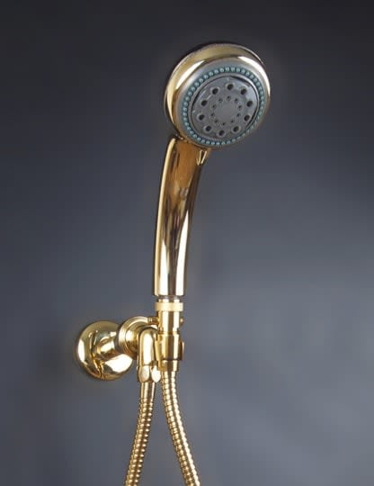 Voyager Handheld Removable Shower Head With Hoses