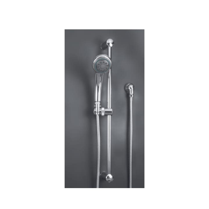 Dolphin 2 Hand Held Shower Head